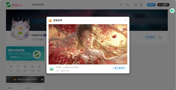 图片[4]-子比主题-前端附件管理插件-识趣者资源
