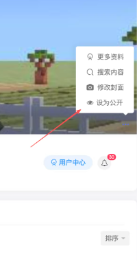 子比主题 – 个人主页公开/私密功能-识趣者资源